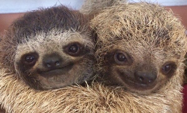 What Does the Word "Love" Mean to You?