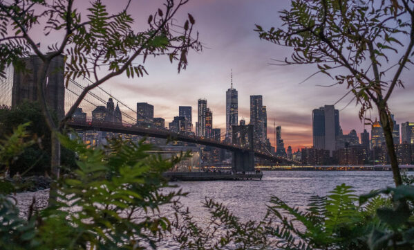 What Things In Your Life Have Surprised You?