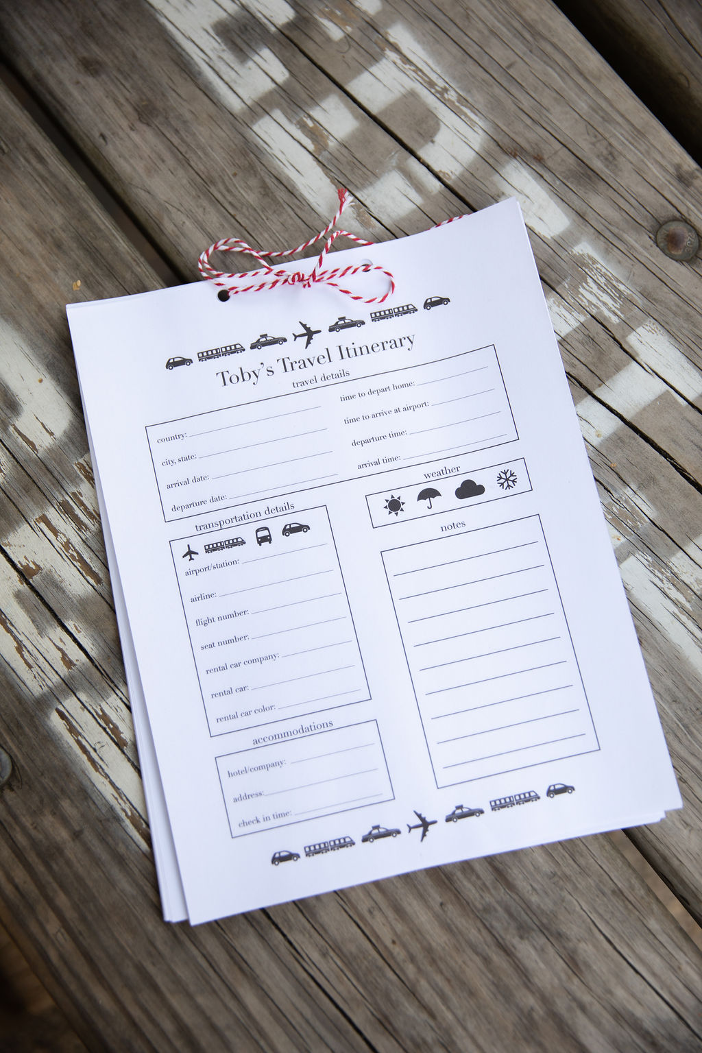 Toby's 9th Birthday Party