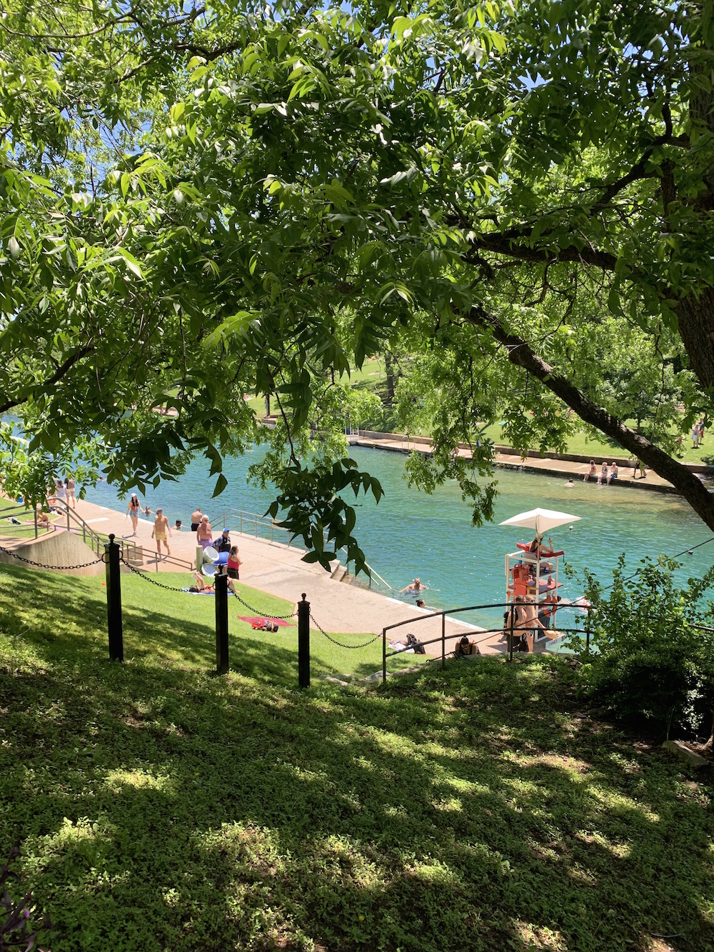 Barton Springs