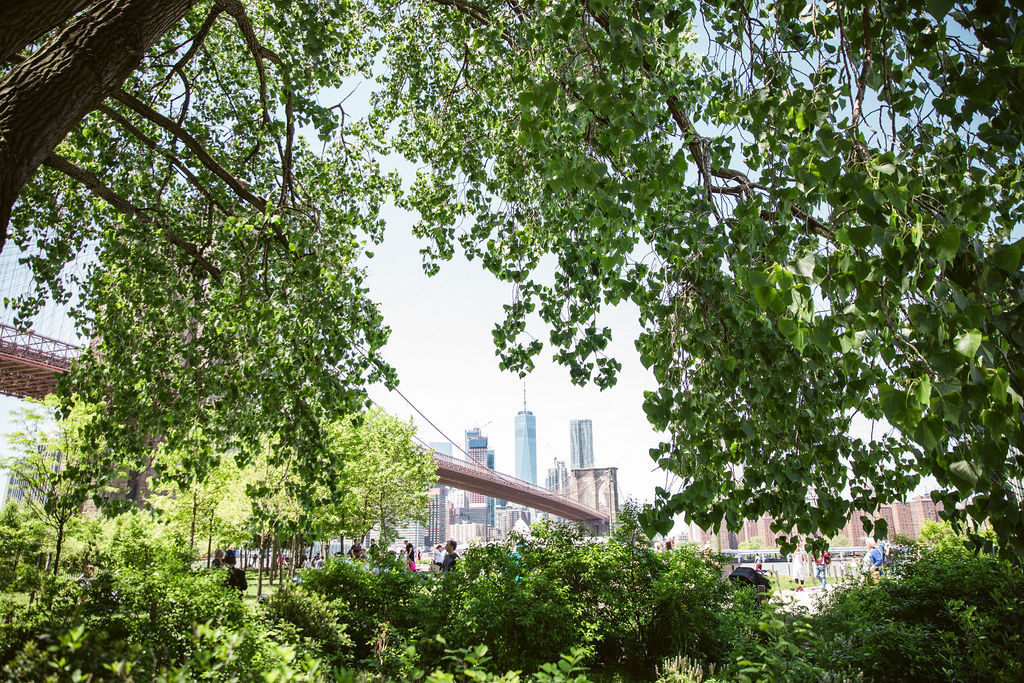 Toby's 9th Birthday Party