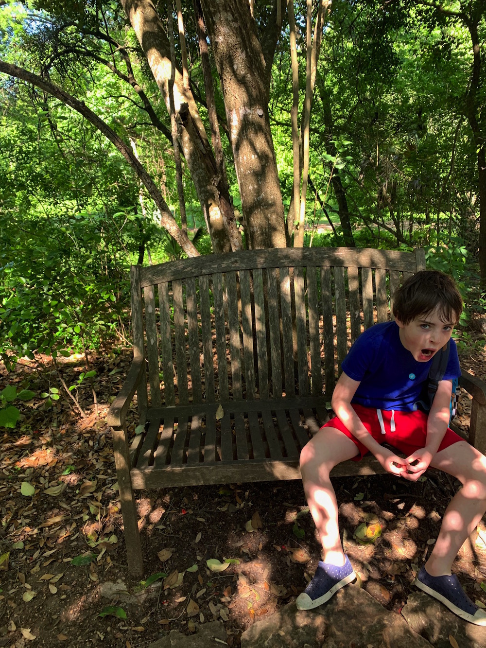 Laguna Gloria with kids