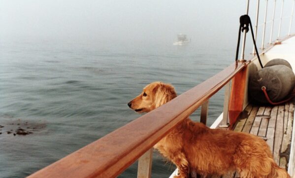 I Took a Break From My Phone