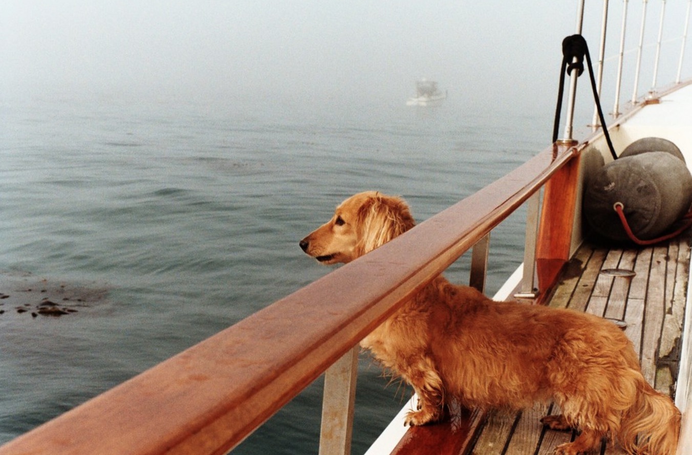 I Took Morning Phone Breaks and I'm a Happier Person