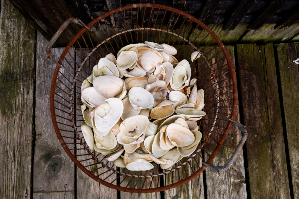 fire island house tour