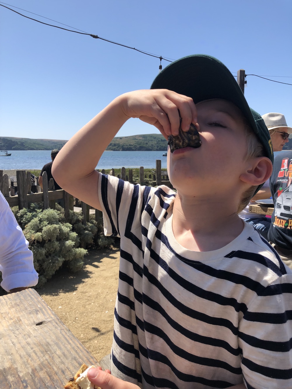 Hog Island Oyster Co