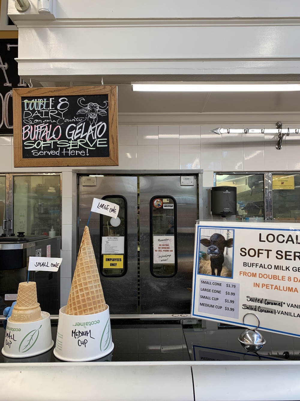 Northern California family trip