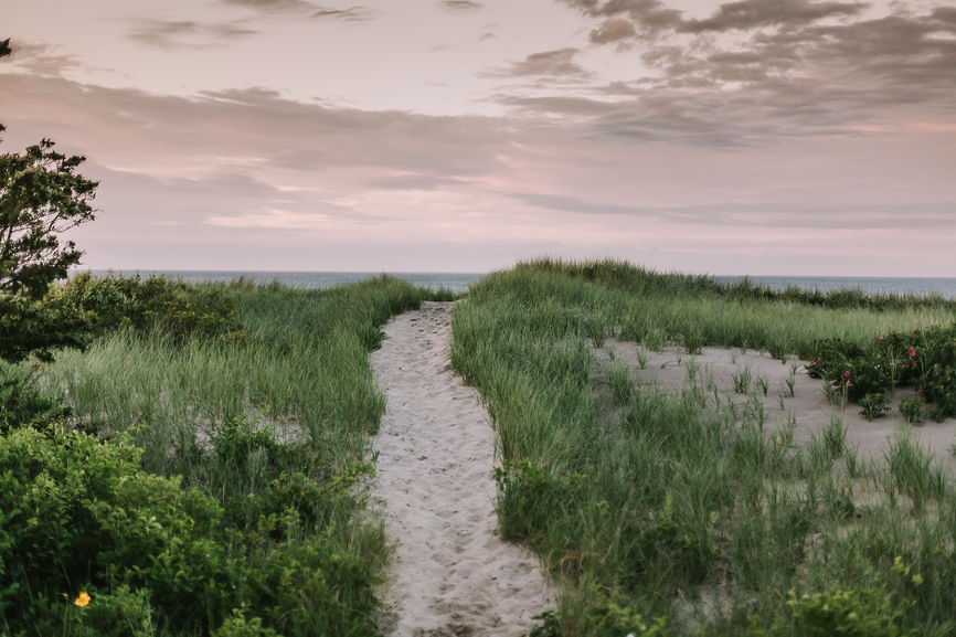 cape cod dunes