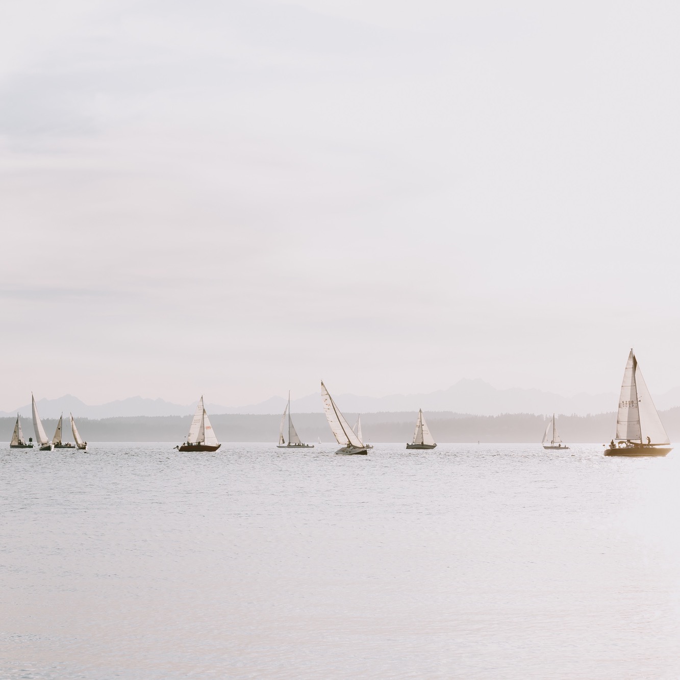 Sailboats print