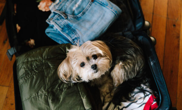 Packing for the Holidays