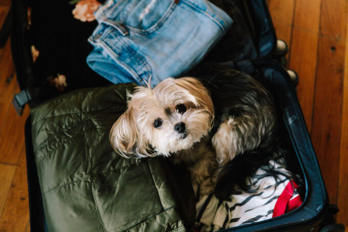 Packing for the Holidays