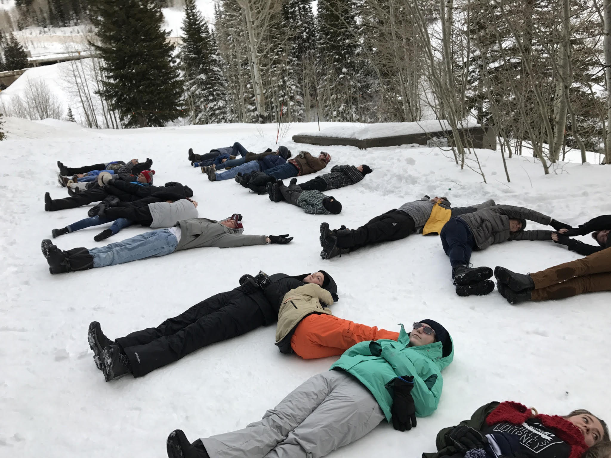 A Snowy Marriage Proposal