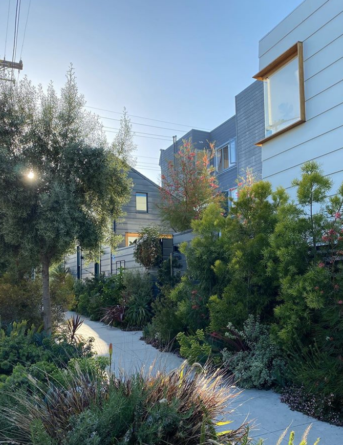 sidewalk garden in san francisco