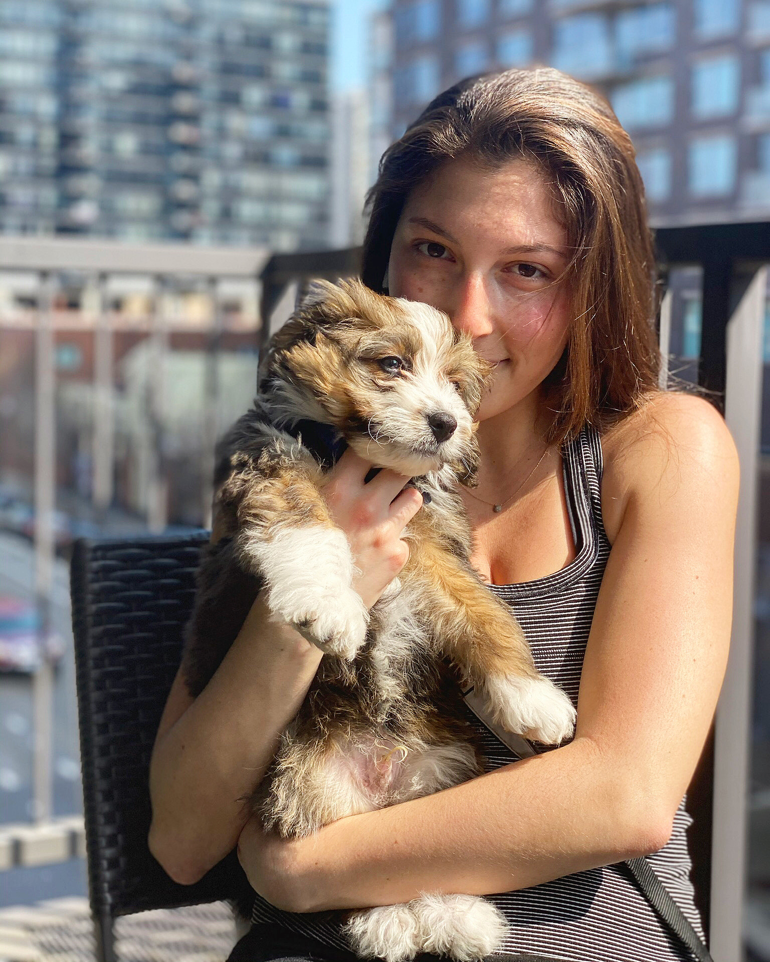 14 Adorable Quarantine Pets (With Photos!)