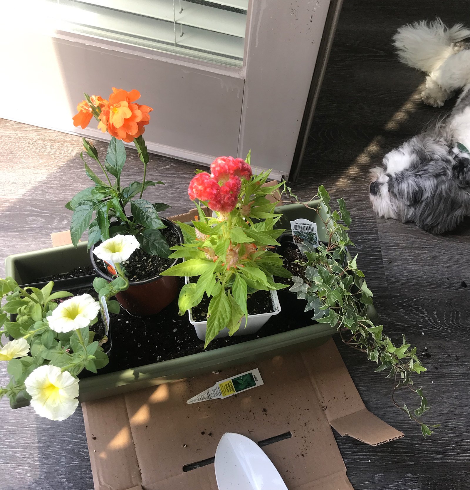 My Beauty Uniform: Alisha Ramos