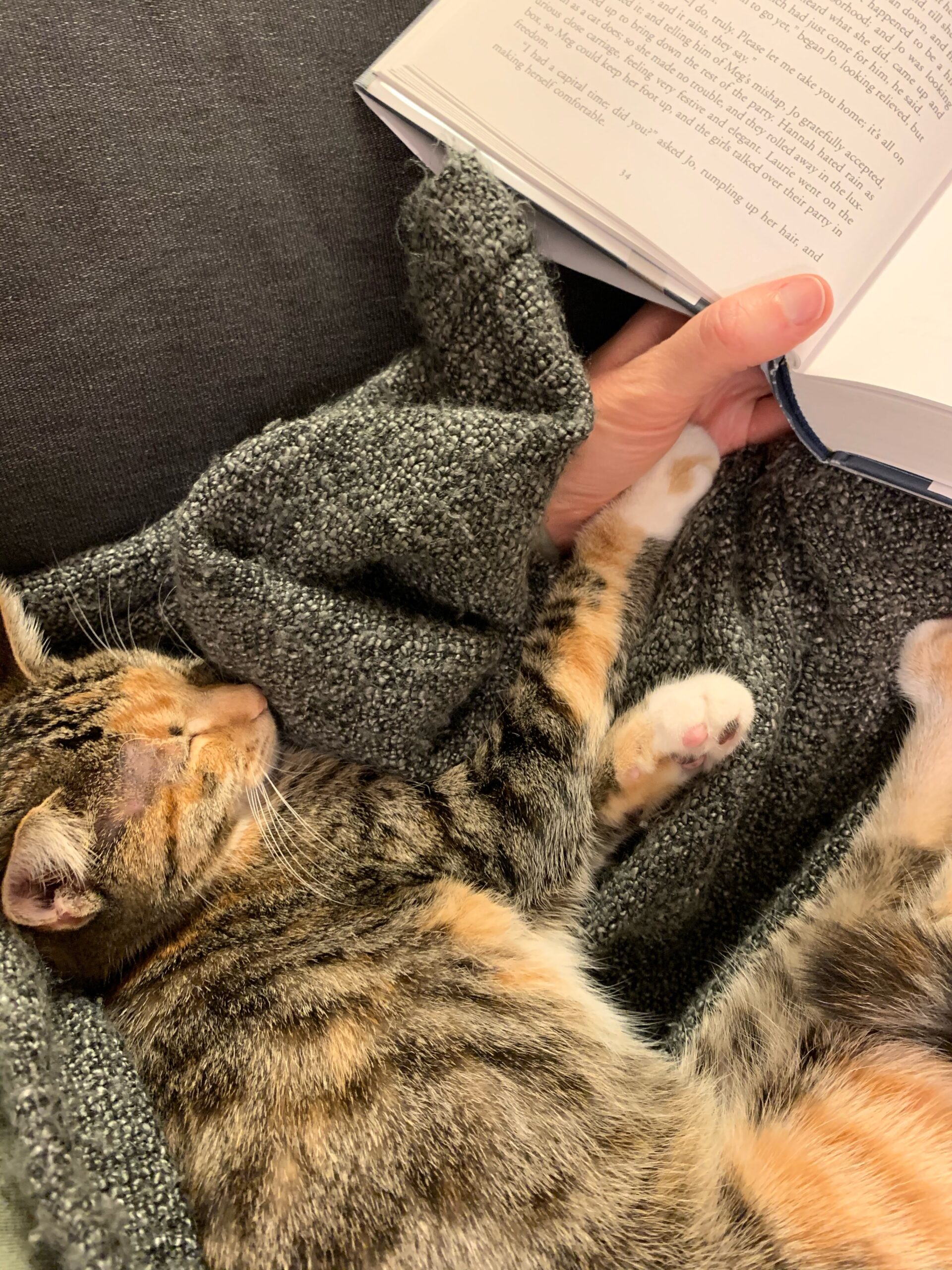 14 Readers on Staying Upbeat This Winter