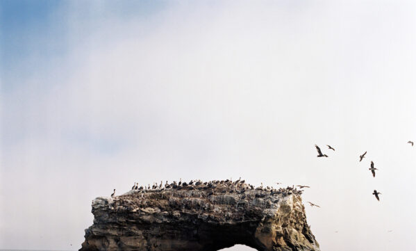 Everyday Mindfulness