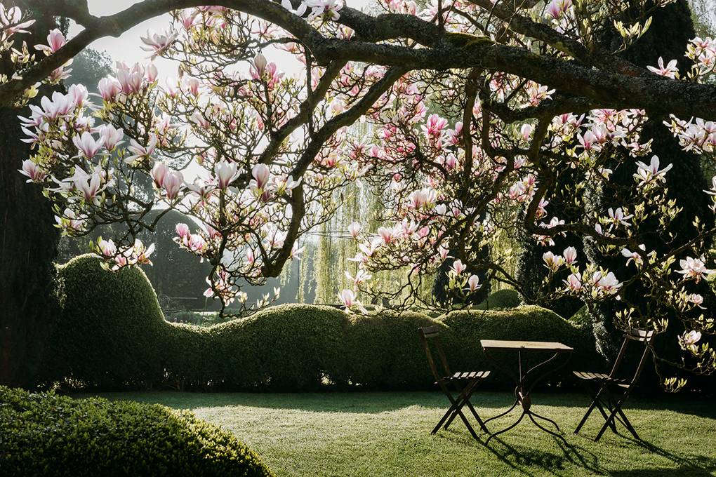 &Eacute;va N&eacute;meth