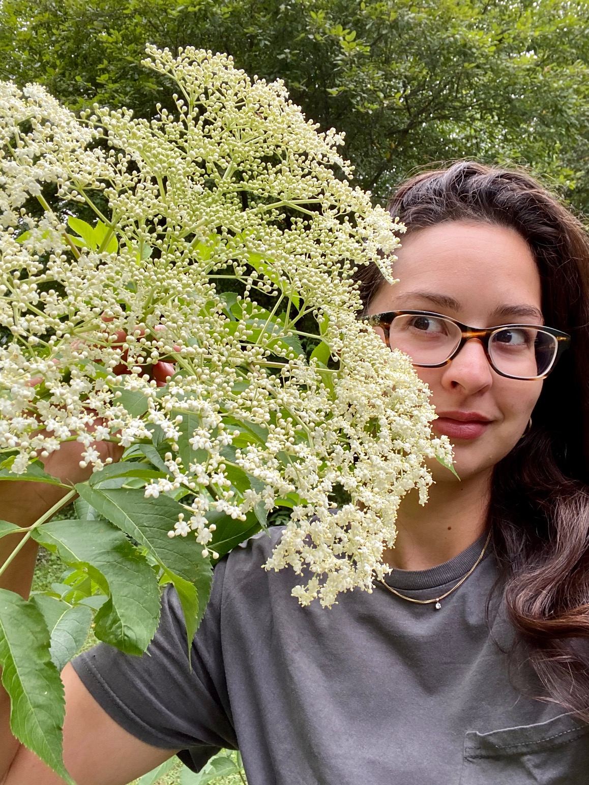 14 Readers Share Their Gorgeous Gardens