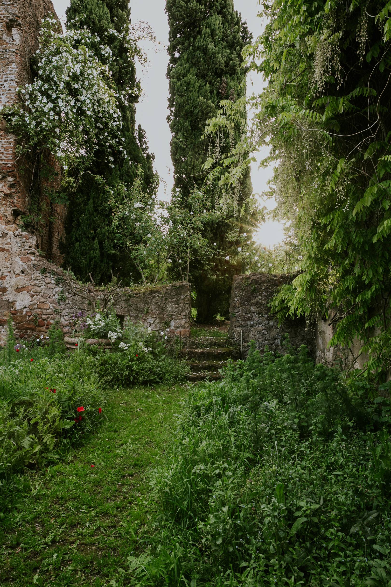 &Eacute;va N&eacute;meth