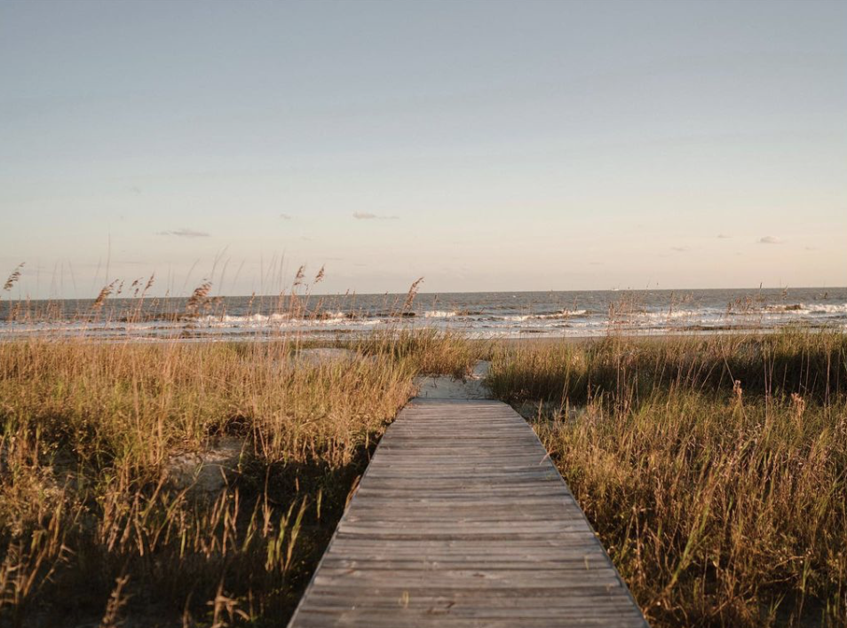 beach by Olivia Rae James