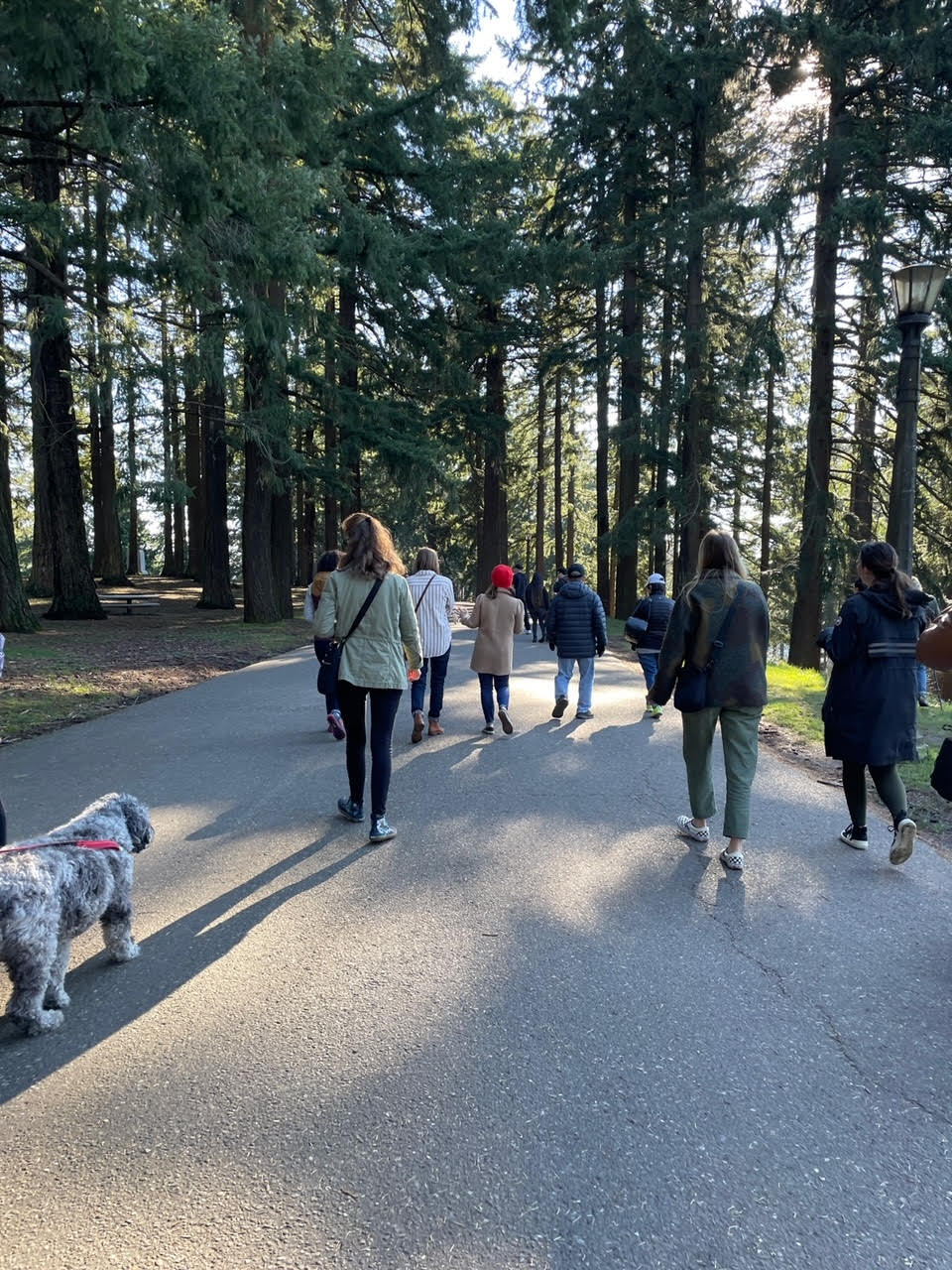 Portland cup of jo reader walk