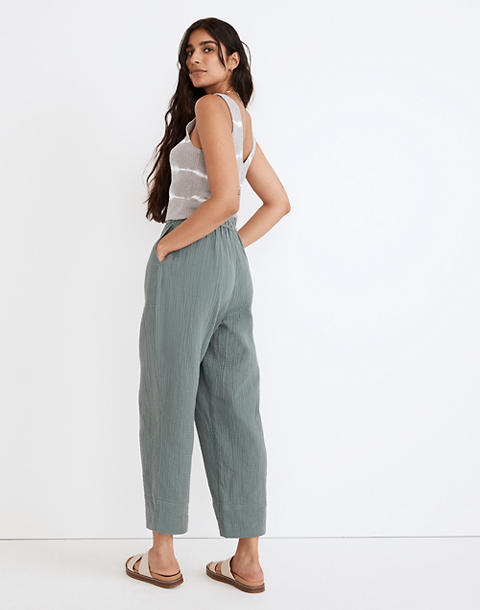 lightspun pants madewell