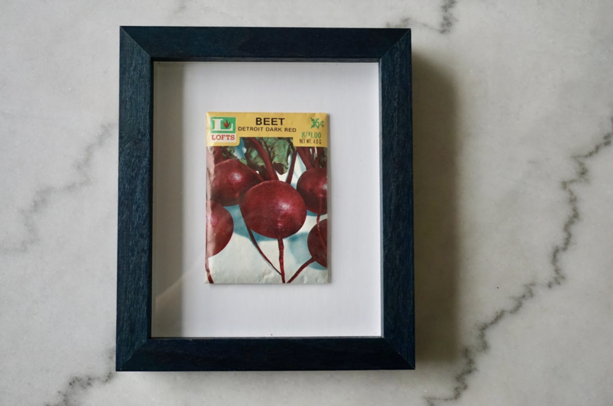 seed packet framed
