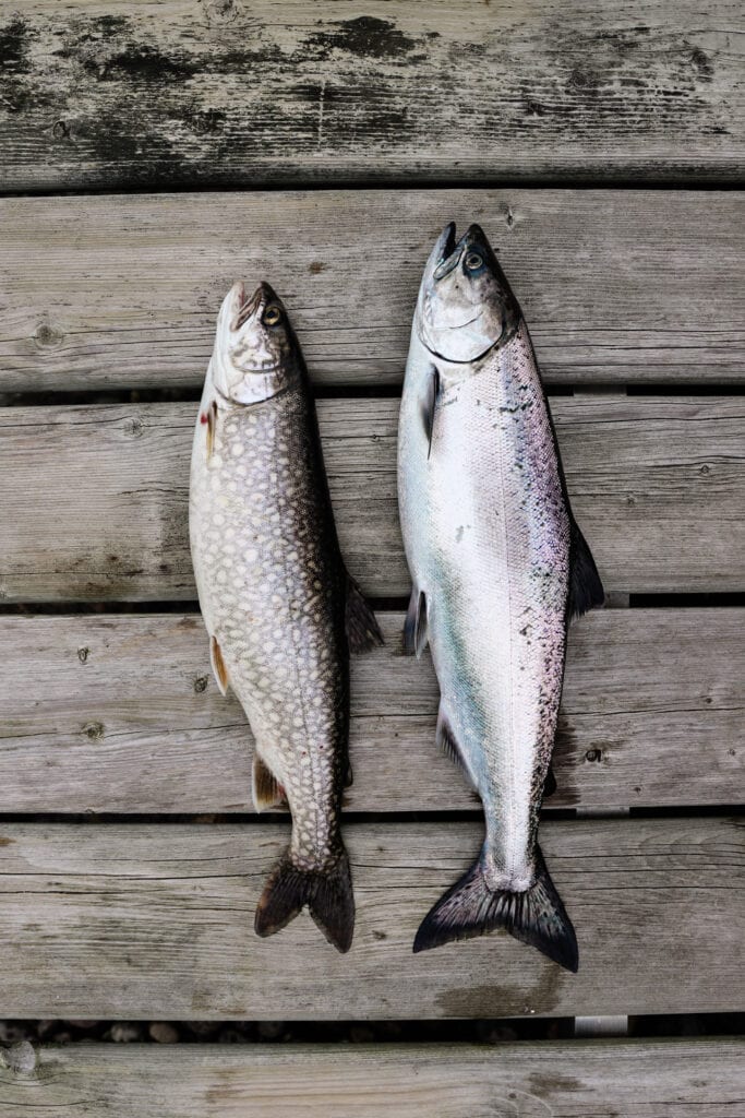 what it's like to parent in canada