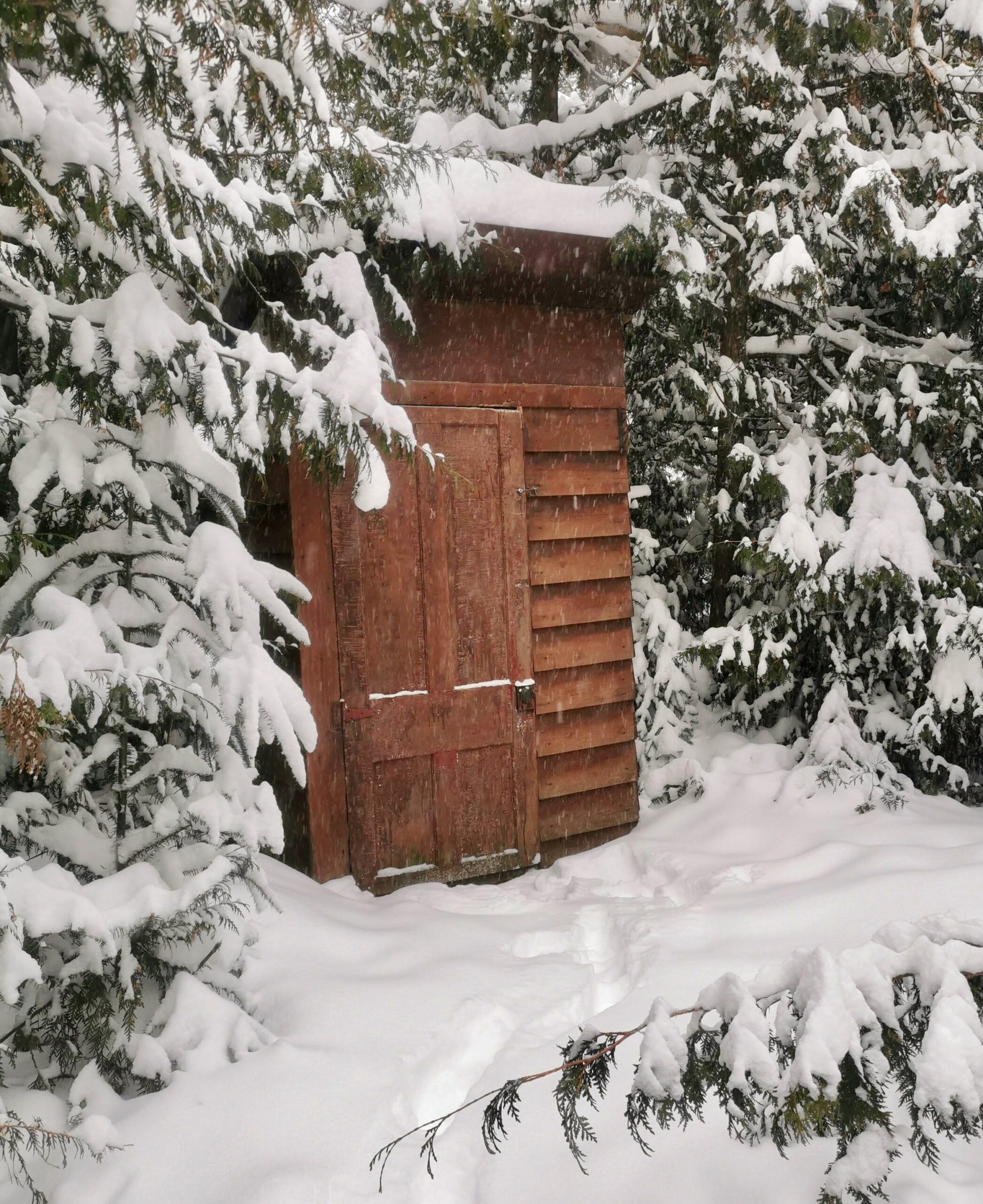 12 Readers Share Their Favorite Birthday Celebrations