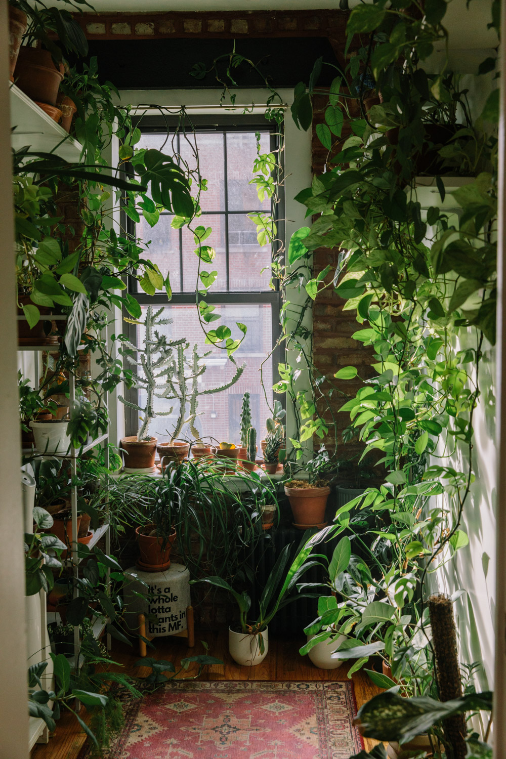 Plant Kween House Tour