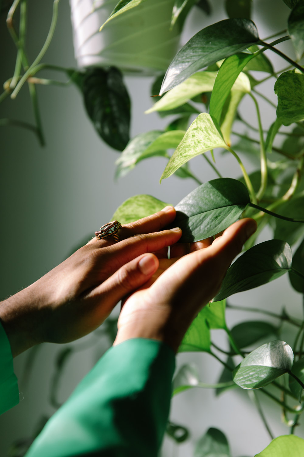 Plant Kween House Tour