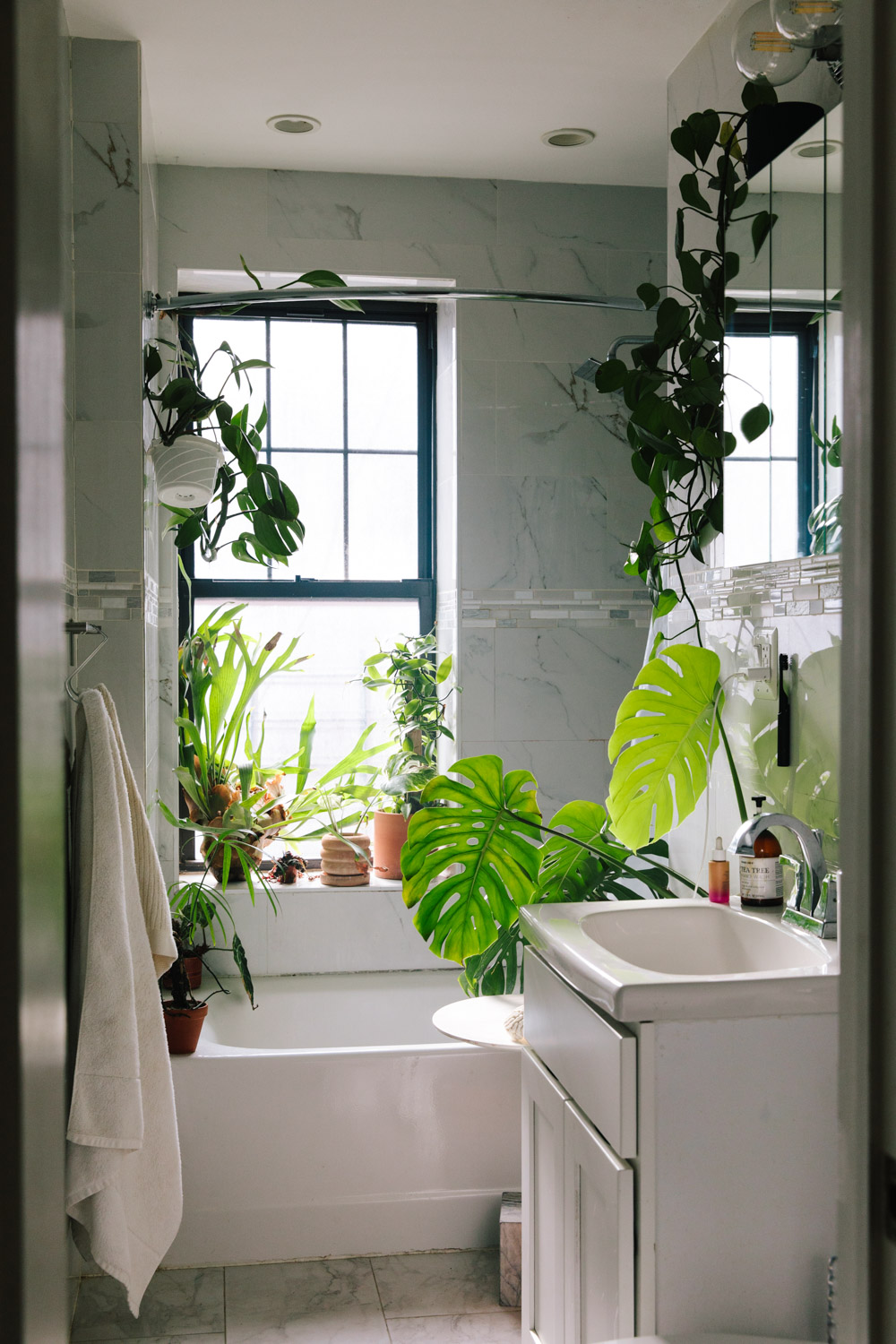 Plant Kween House Tour