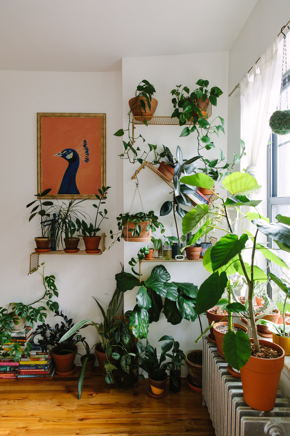 Plant Kween House Tour