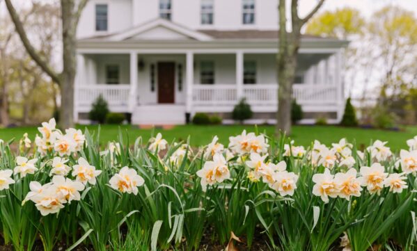 The ghosts in my home