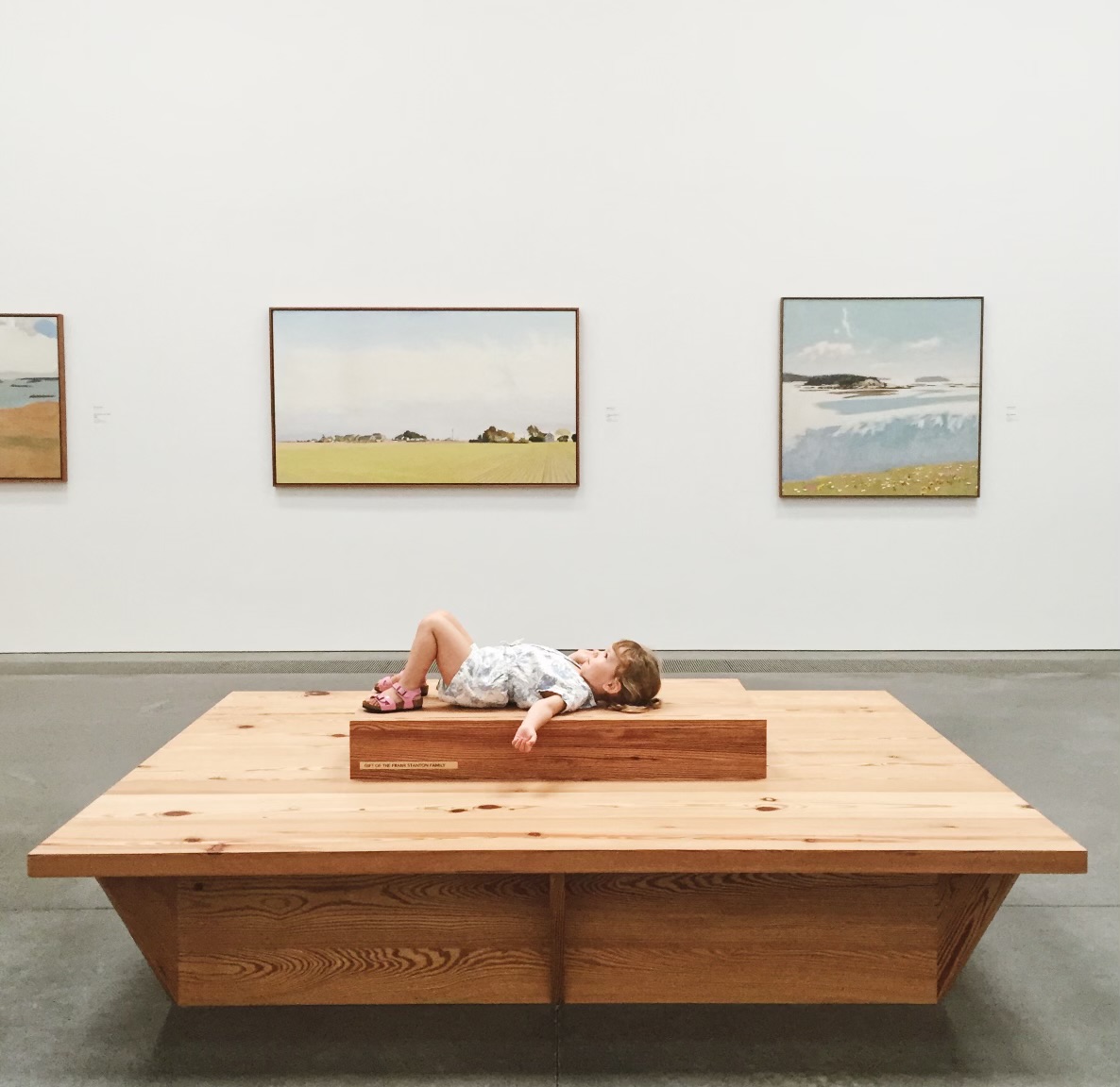 guide to museum with kids