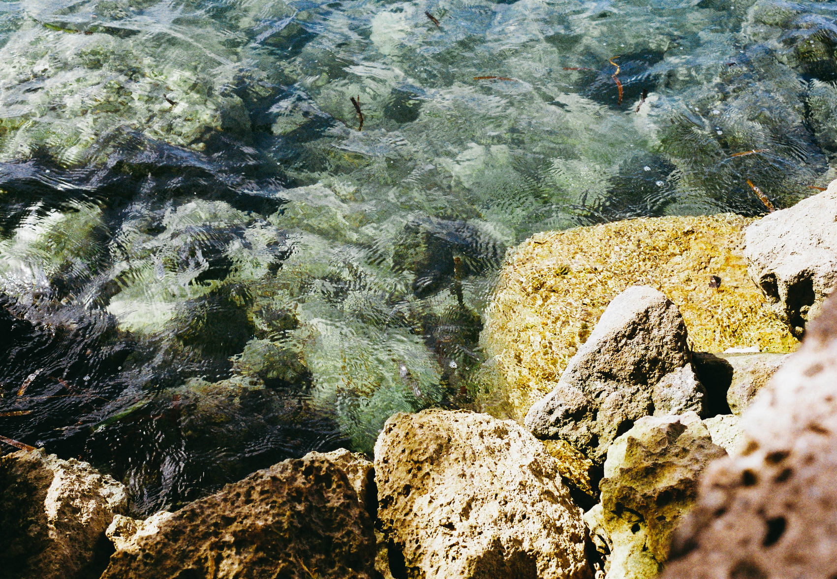 weekend links Cup of Jo