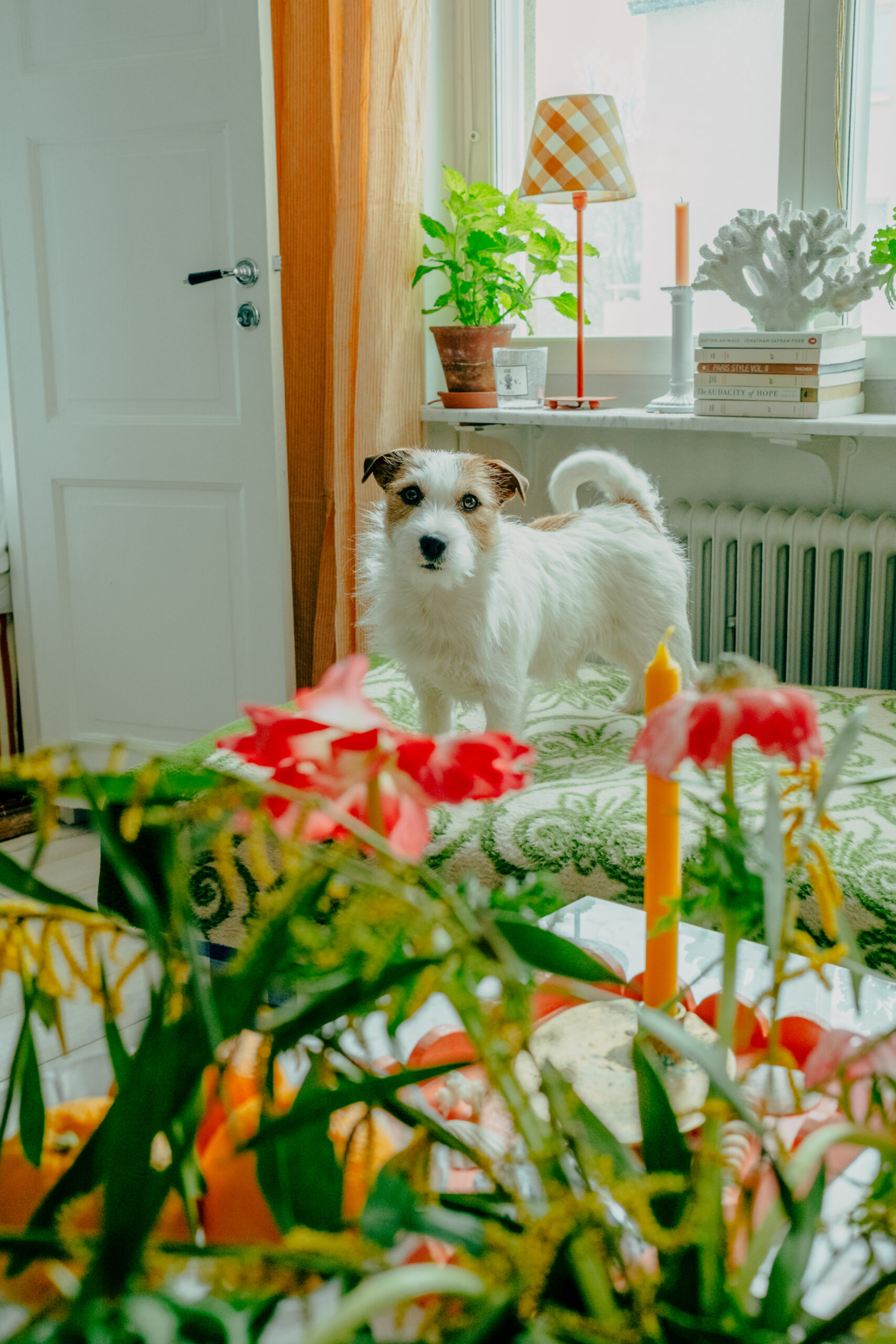 SEBASTIAN BERGSTRÖM House Tour