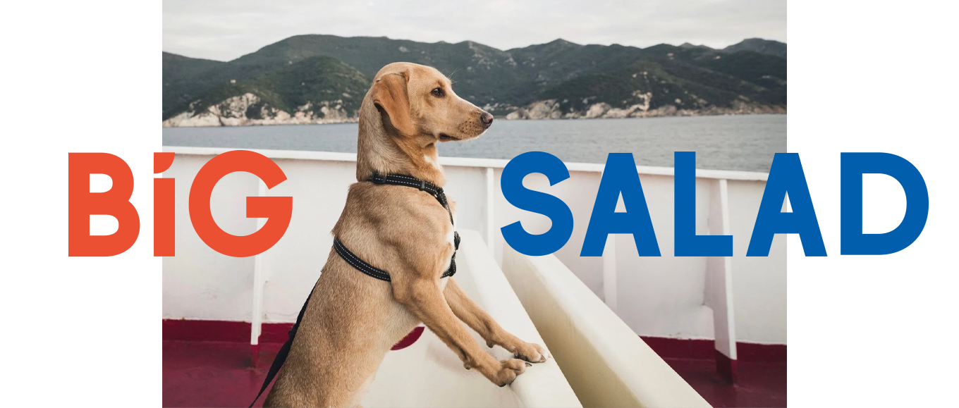 Big Salad substack email by Joanna Goddard