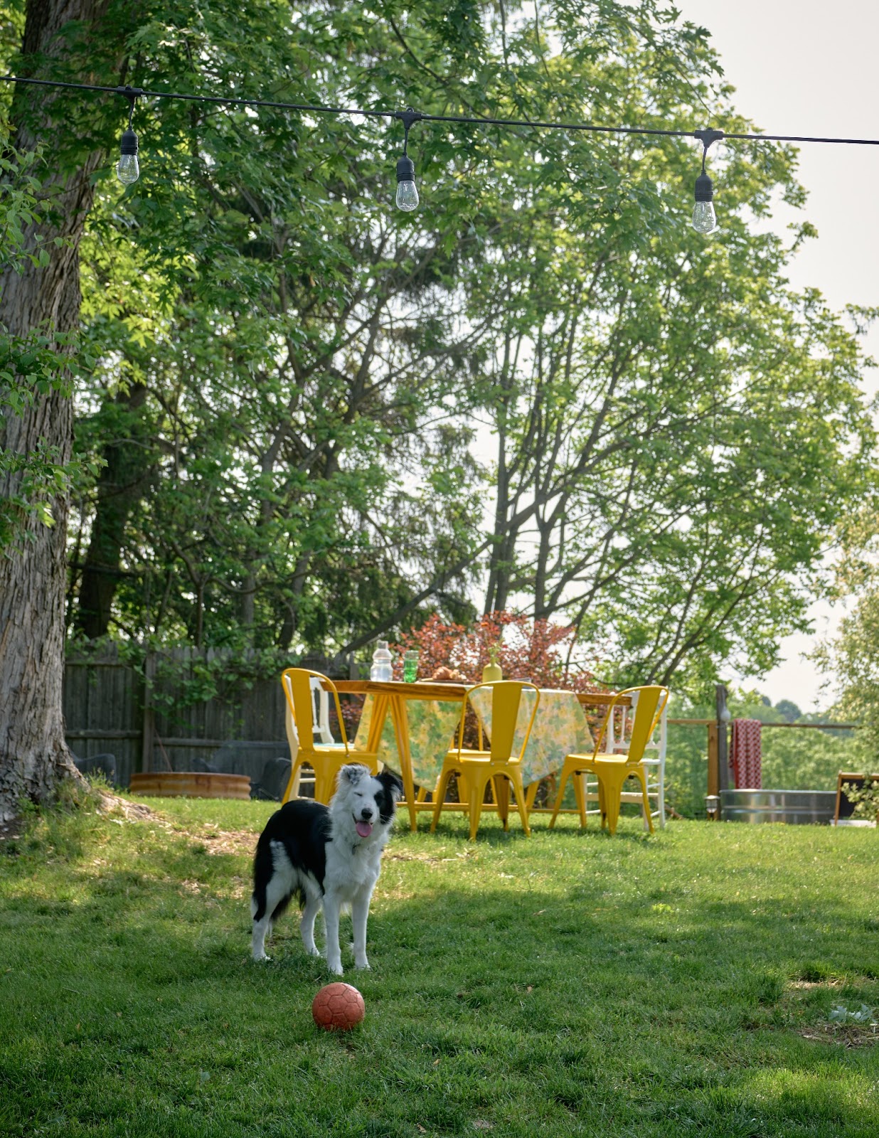 Rachael Petach house tour cassis