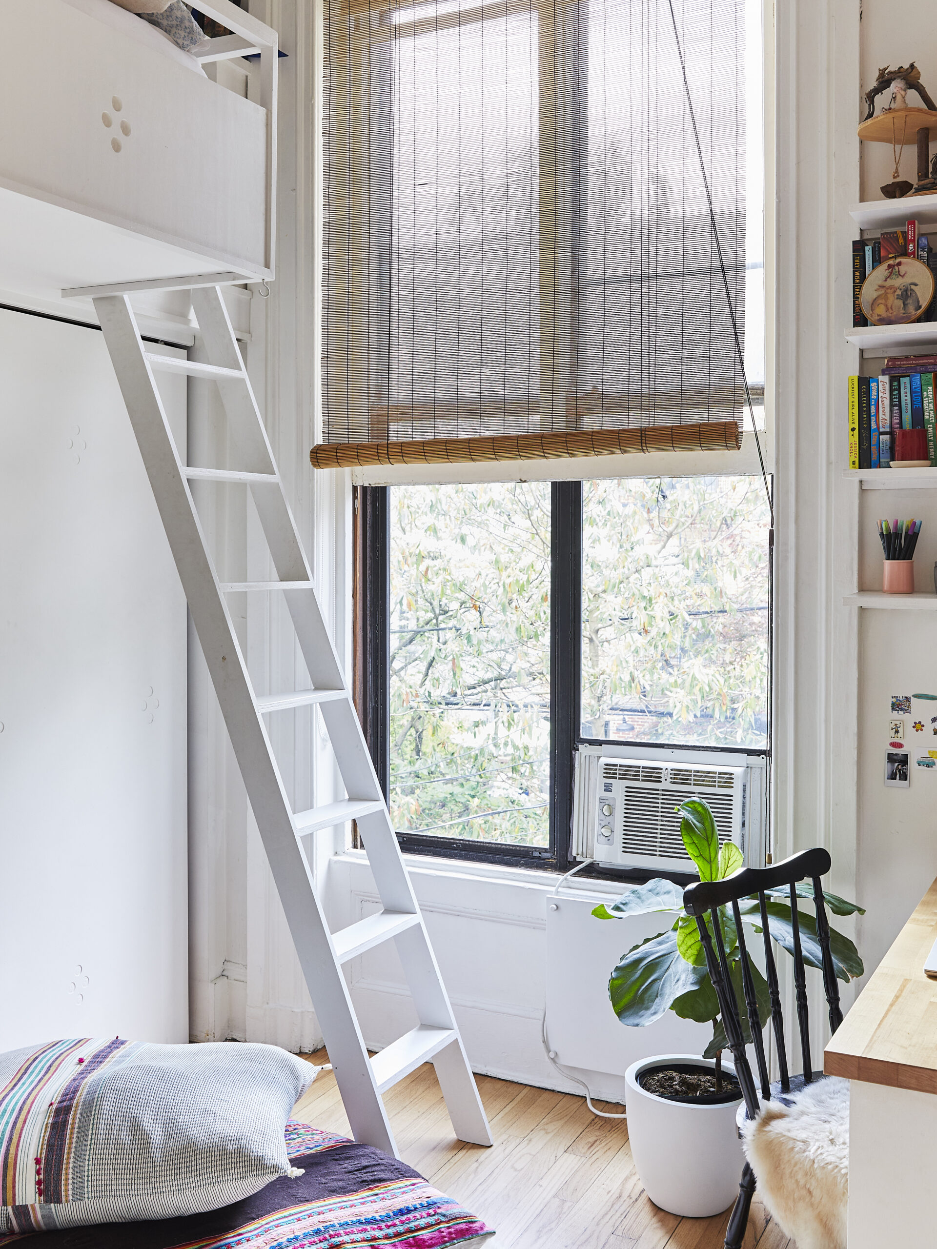 Holly Waterfield House Tour