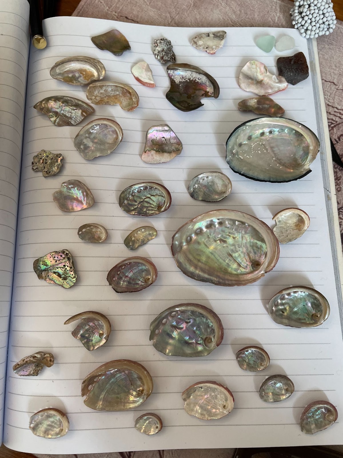 families who downsized their homes