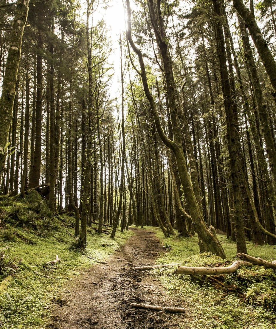 best gifts for sisters women friends