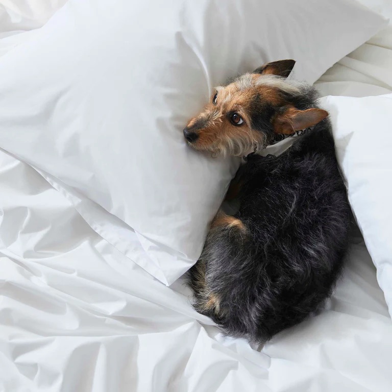 Brooklinen Black Friday Sale