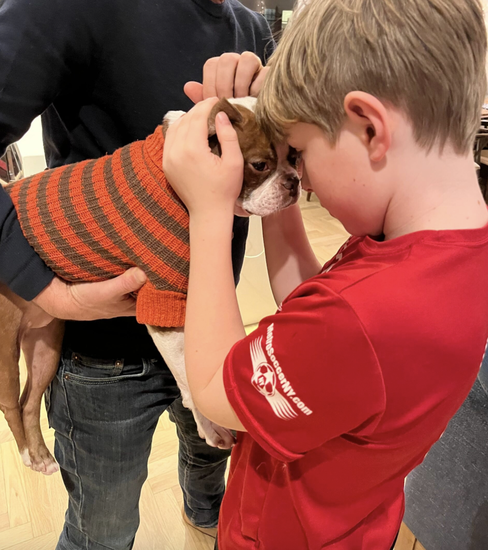 Jenny Rosenstrach NYC apartment