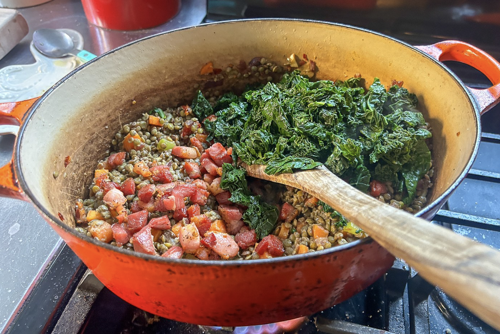 lentils by Adam Roberts