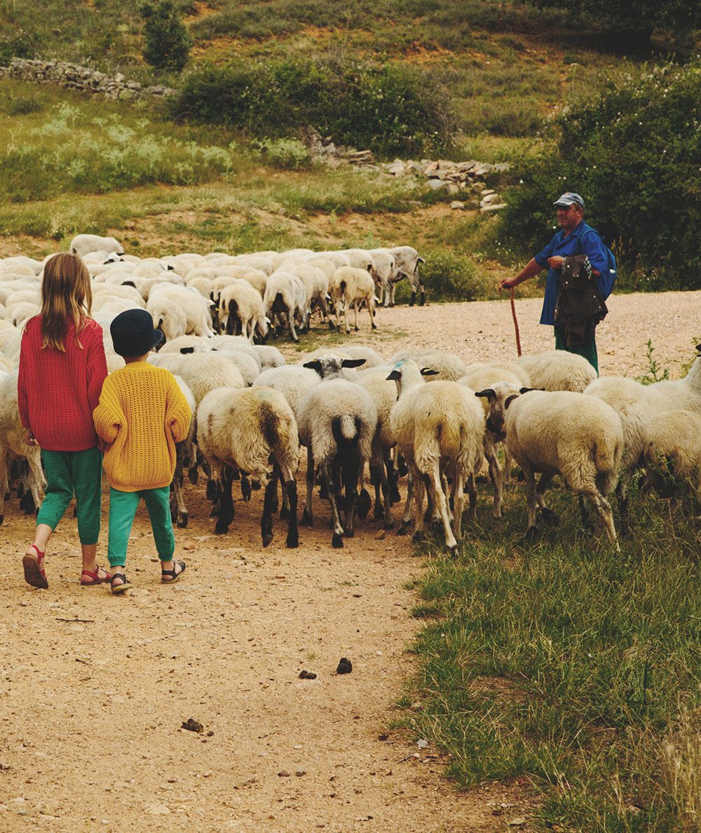 Babaà Giveaway (and Discount Code)