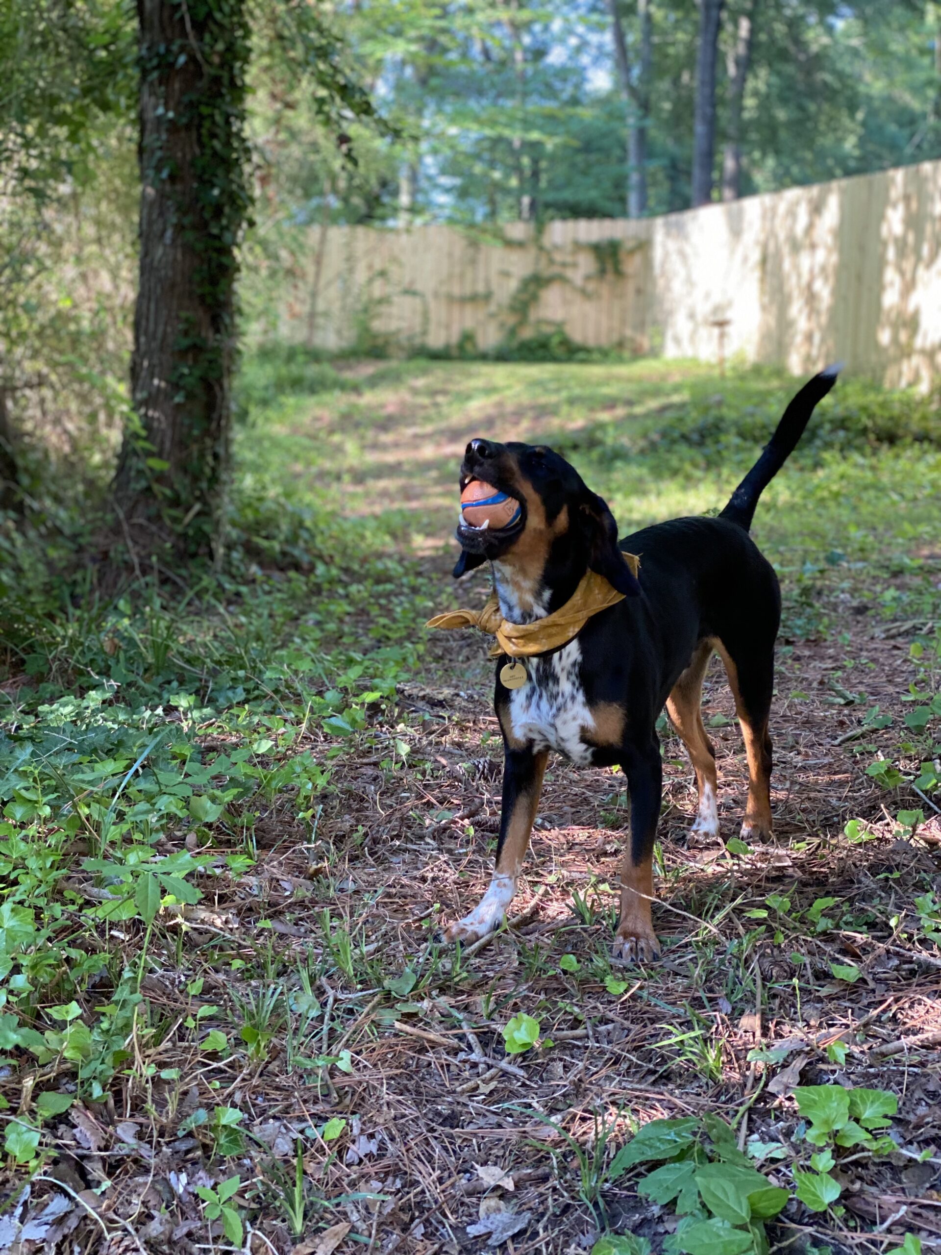 mississippi-house-tour