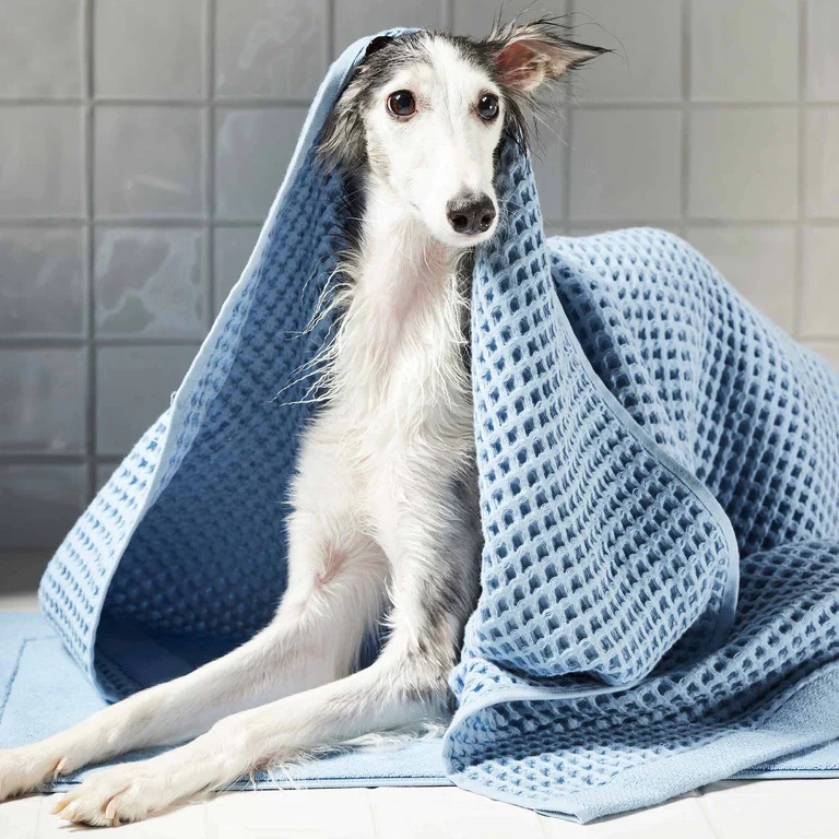 Brooklinen Birthday Sale