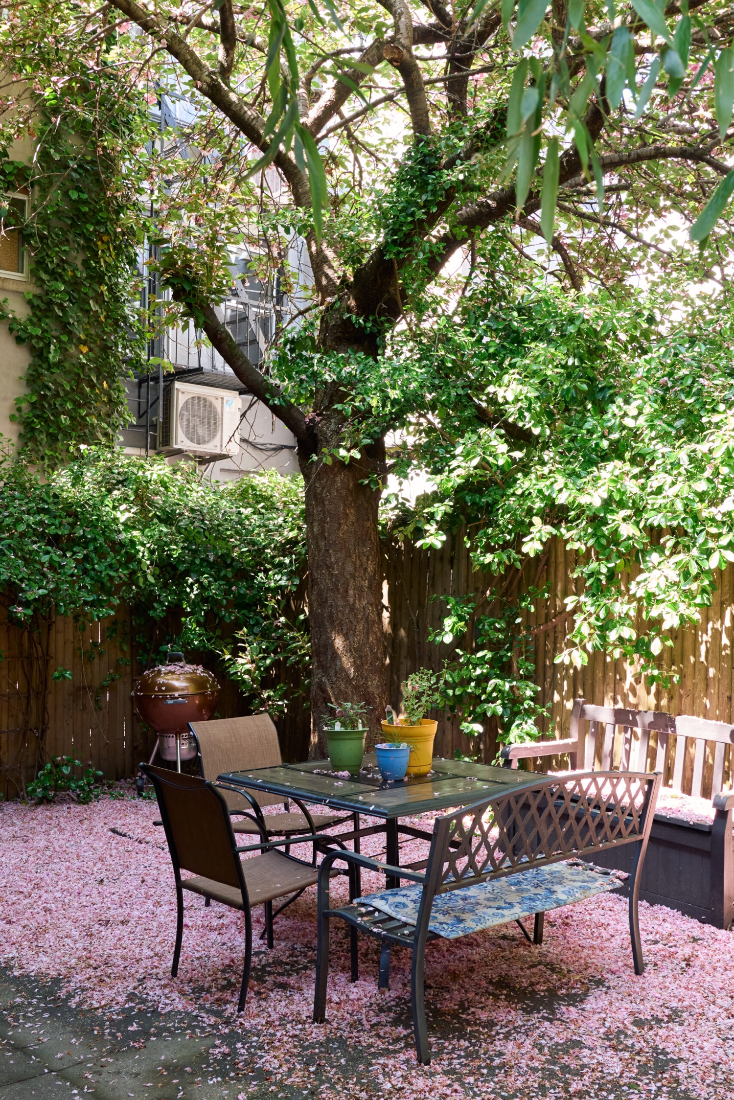 Adam Roberts House Tour